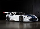 Riley Technologies Continues Preparation of Viper GT3-R for 2014 Debut